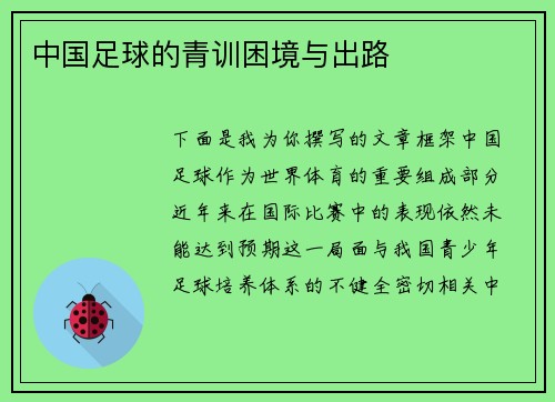 中国足球的青训困境与出路