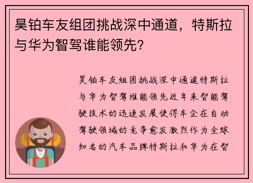 昊铂车友组团挑战深中通道，特斯拉与华为智驾谁能领先？